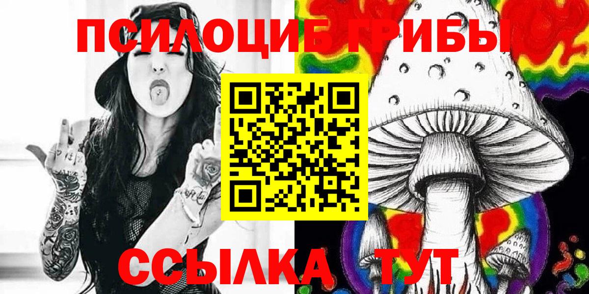 Псилоцибиновые грибы Cubensis Кандалакша