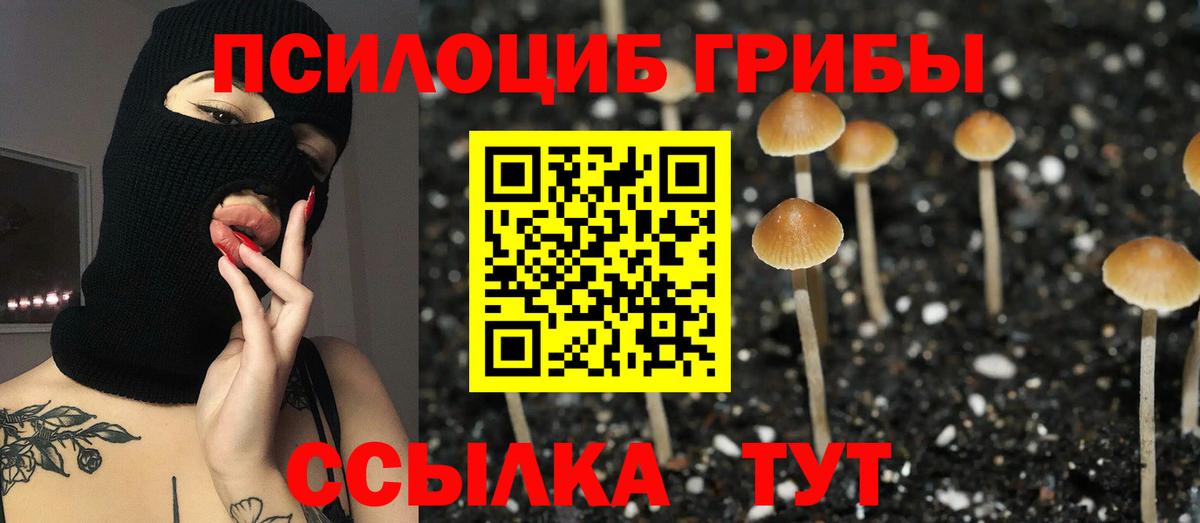 ГЕРОИН  Меф МЯУ МЯУ  Кандалакша  МДМА  Меф кристаллы  Cocaine  Канабис  Бошки Шишки  Вход с VPN  Гашиш 